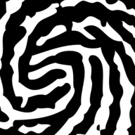 Biometric Update logo