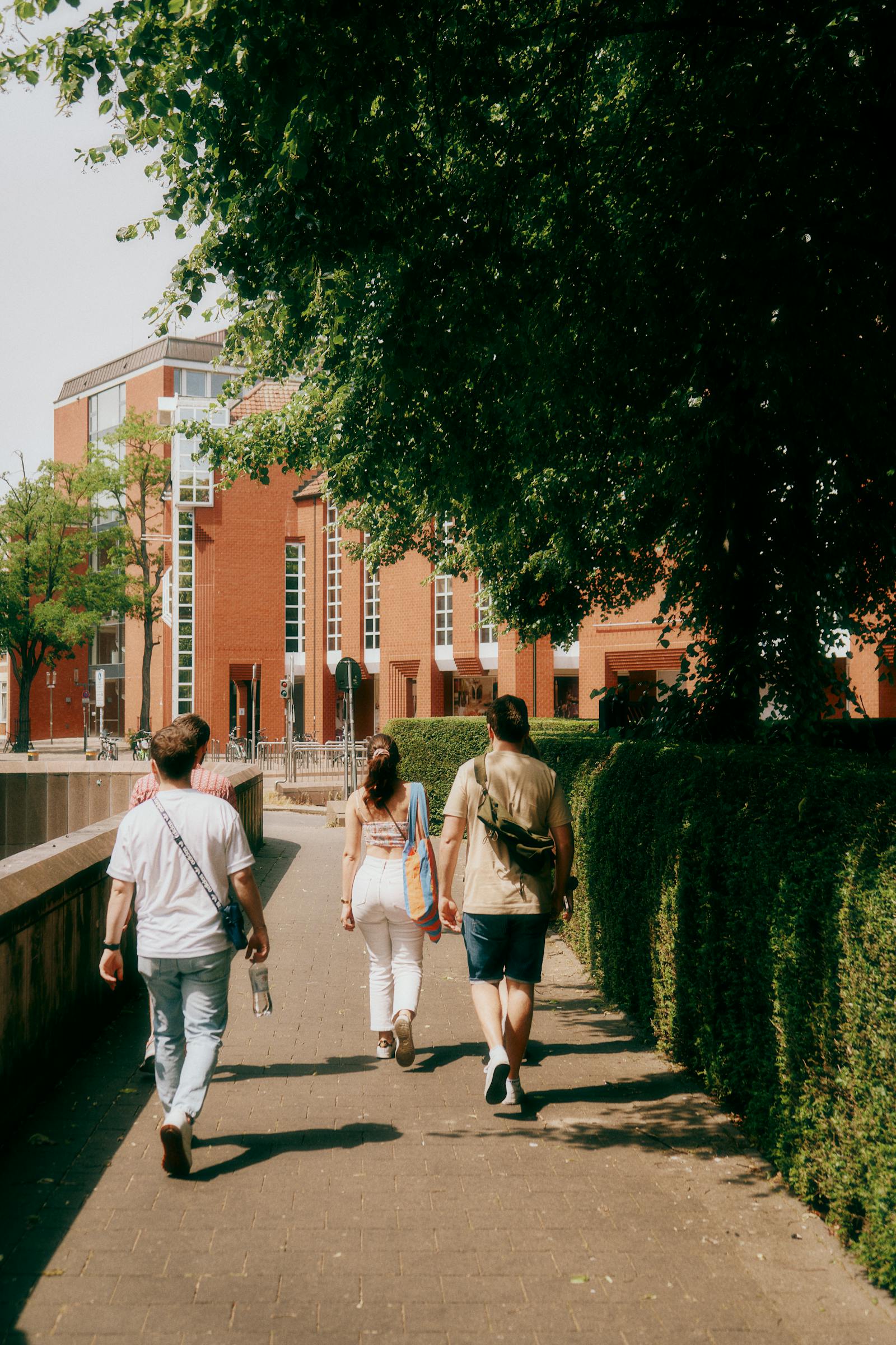 Group of young adults walking along a tree-lined pathway on a university campus, representing the students whose data was exposed in the Canvas breach